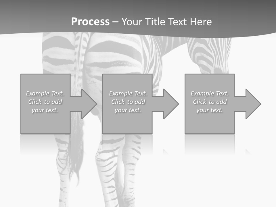 Burchell White Animal PowerPoint Template