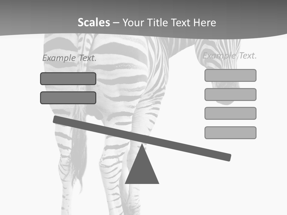 Burchell White Animal PowerPoint Template