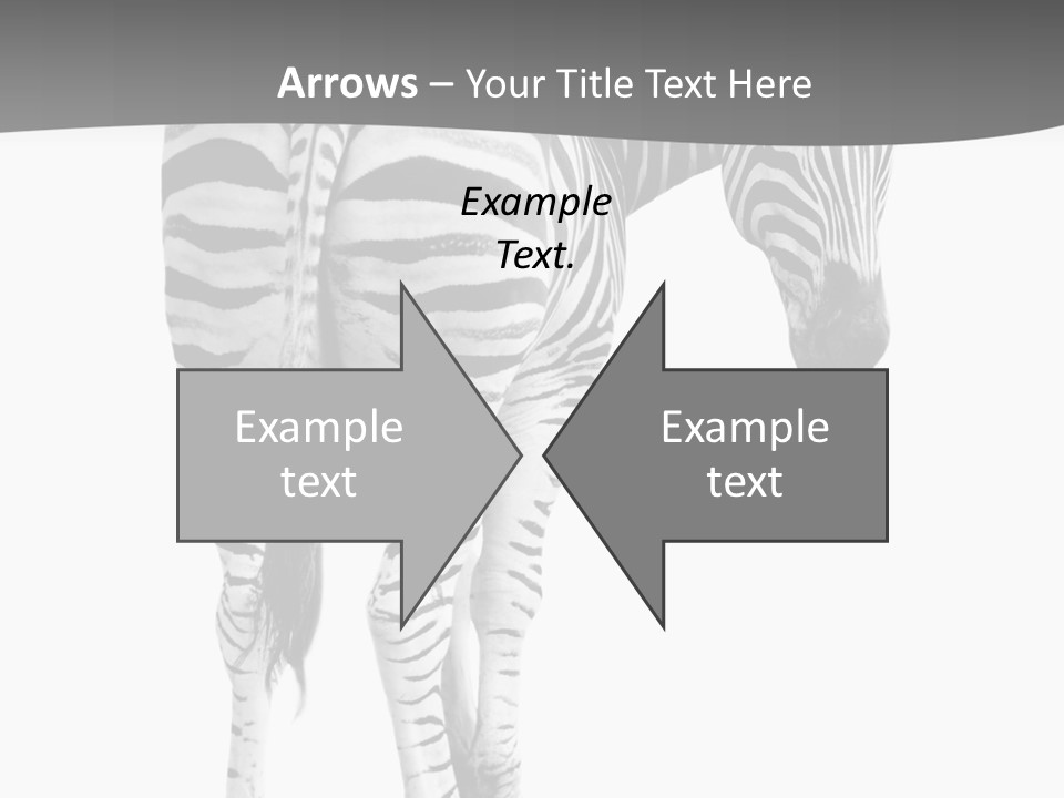 Burchell White Animal PowerPoint Template