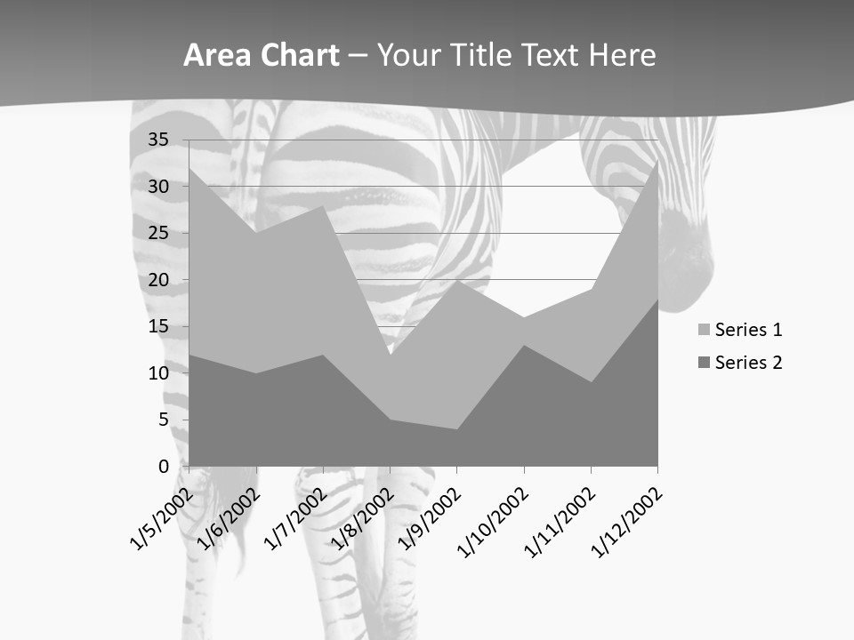 Burchell White Animal PowerPoint Template