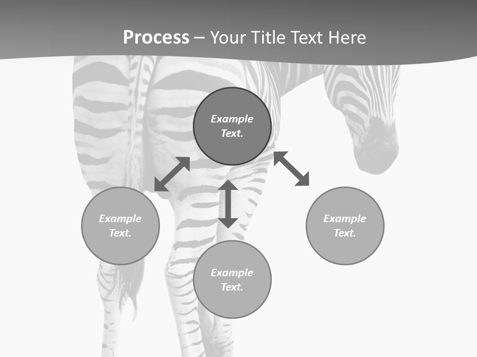 Burchell White Animal PowerPoint Template