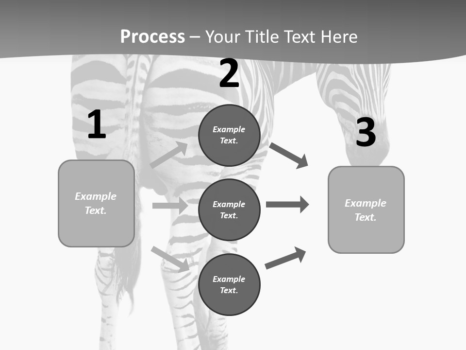 Burchell White Animal PowerPoint Template