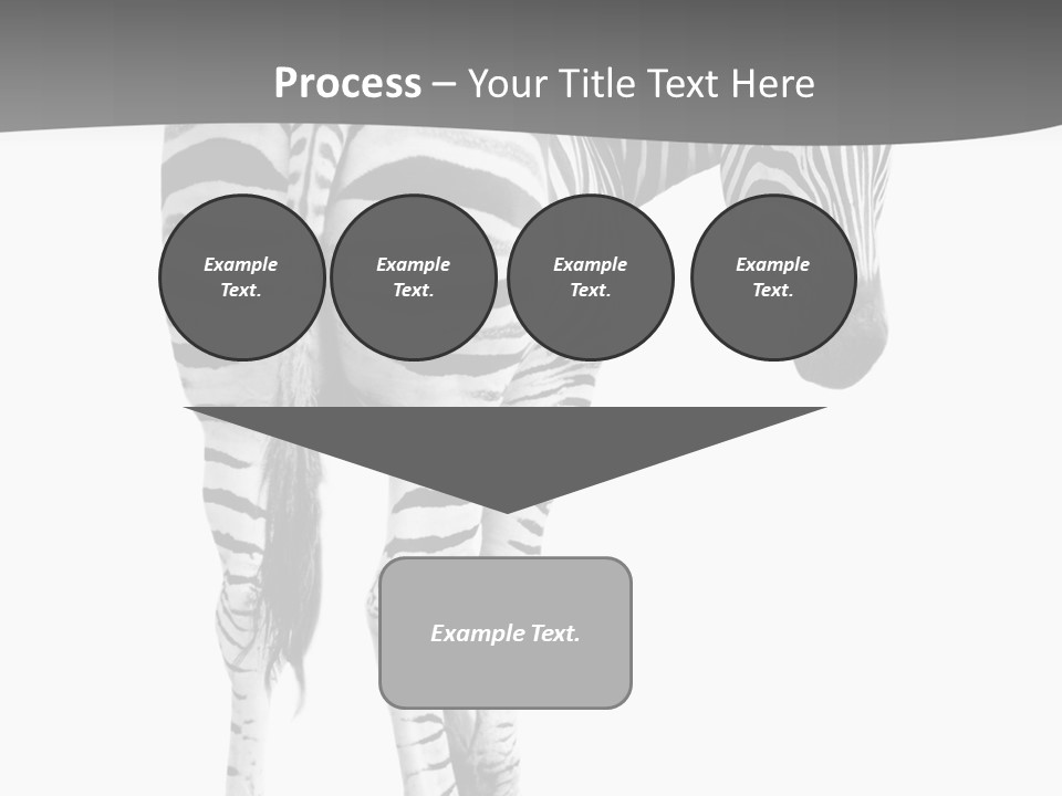 Burchell White Animal PowerPoint Template