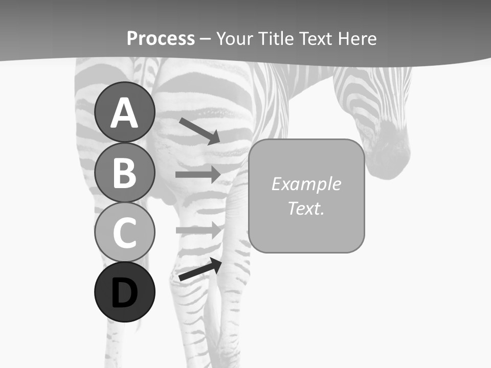 Burchell White Animal PowerPoint Template