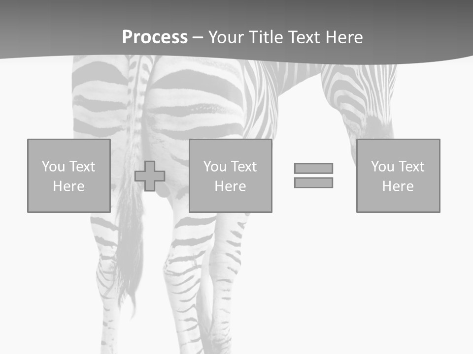 Burchell White Animal PowerPoint Template