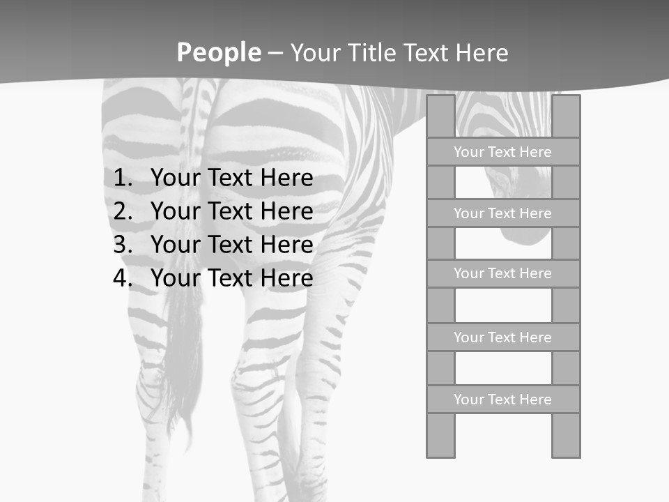 Burchell White Animal PowerPoint Template