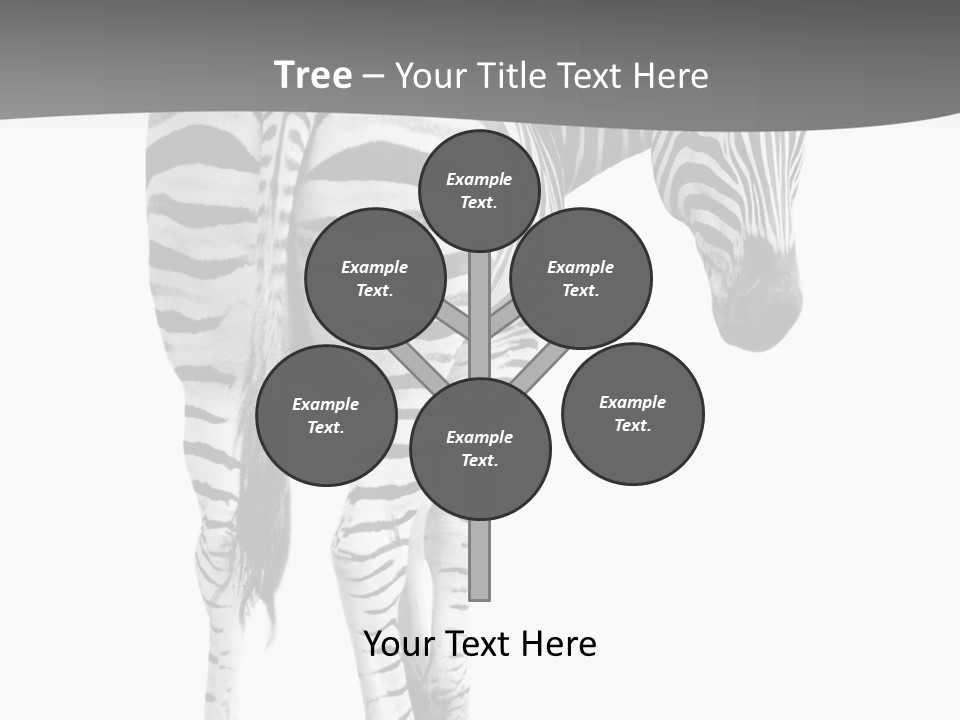 Burchell White Animal PowerPoint Template