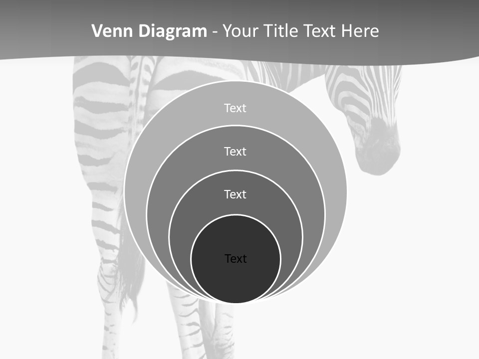 Burchell White Animal PowerPoint Template