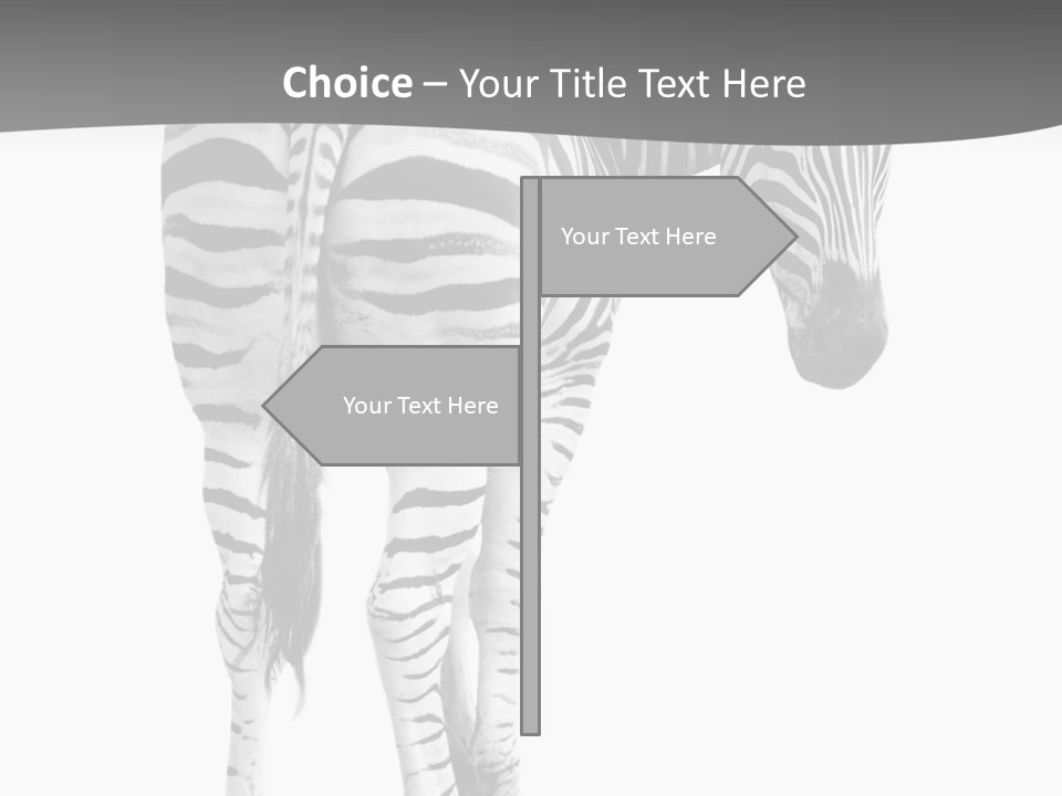 Burchell White Animal PowerPoint Template