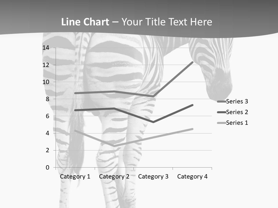 Burchell White Animal PowerPoint Template