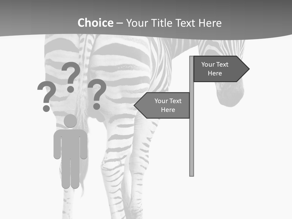 Burchell White Animal PowerPoint Template