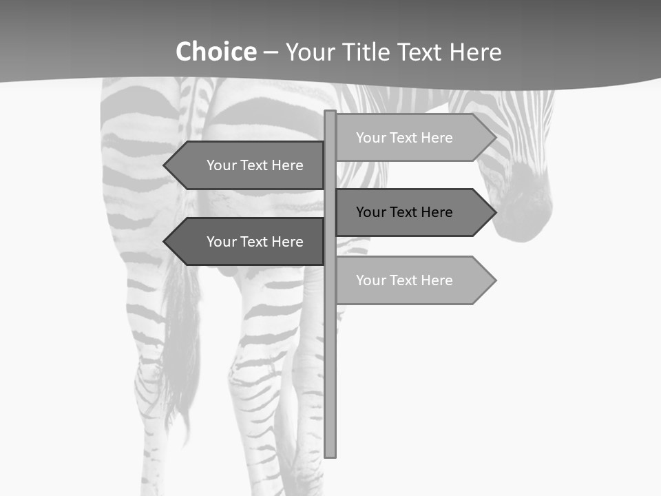 Burchell White Animal PowerPoint Template