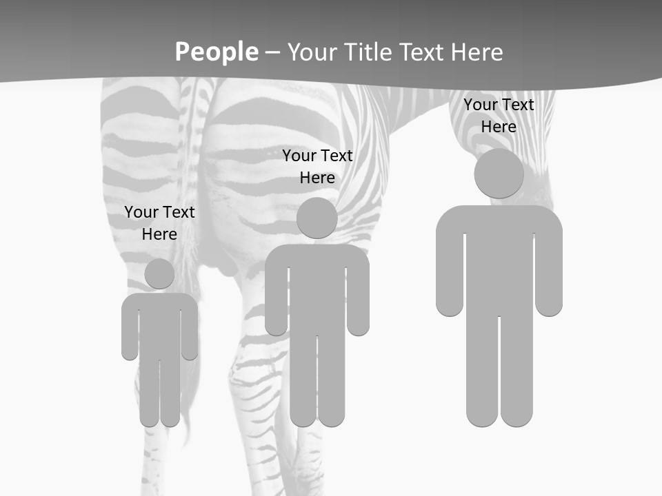 Burchell White Animal PowerPoint Template