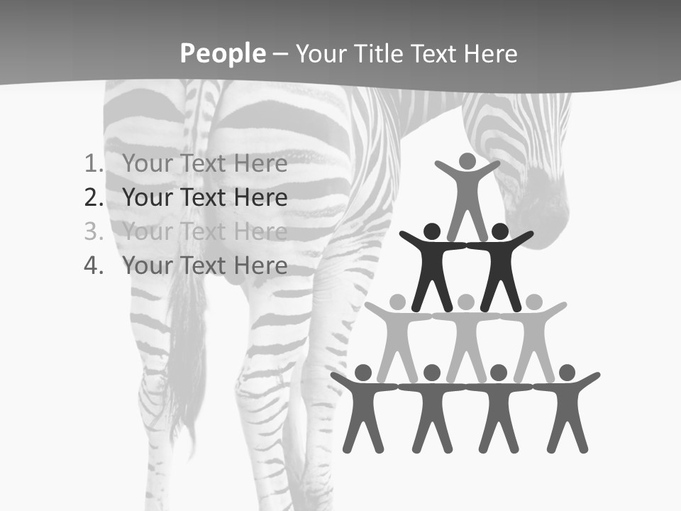 Burchell White Animal PowerPoint Template