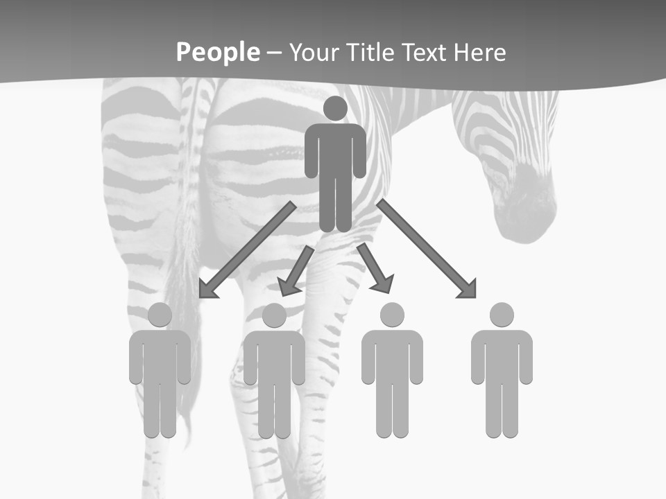 Burchell White Animal PowerPoint Template