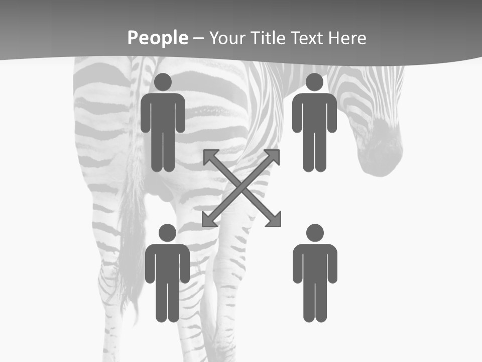 Burchell White Animal PowerPoint Template