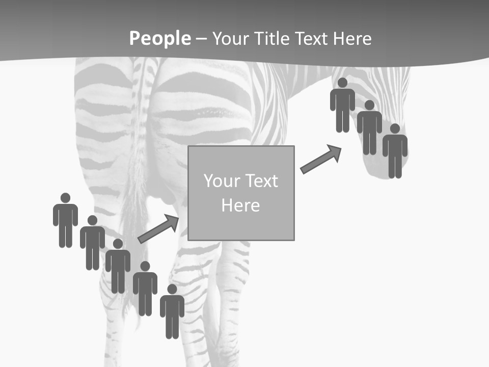 Burchell White Animal PowerPoint Template