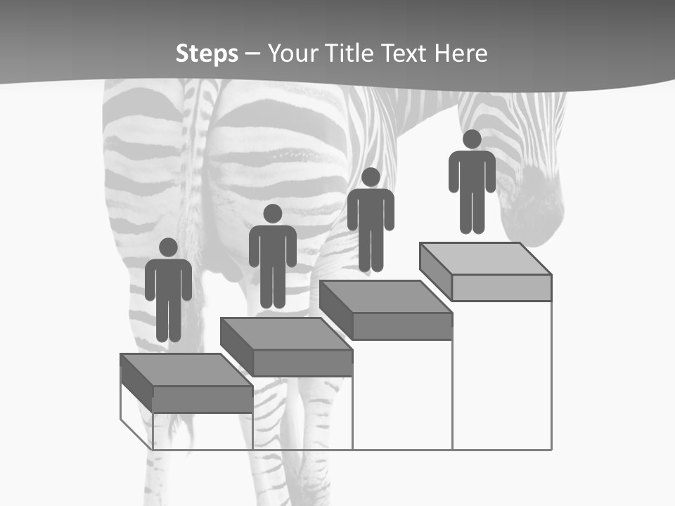 Burchell White Animal PowerPoint Template