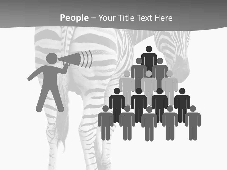 Burchell White Animal PowerPoint Template