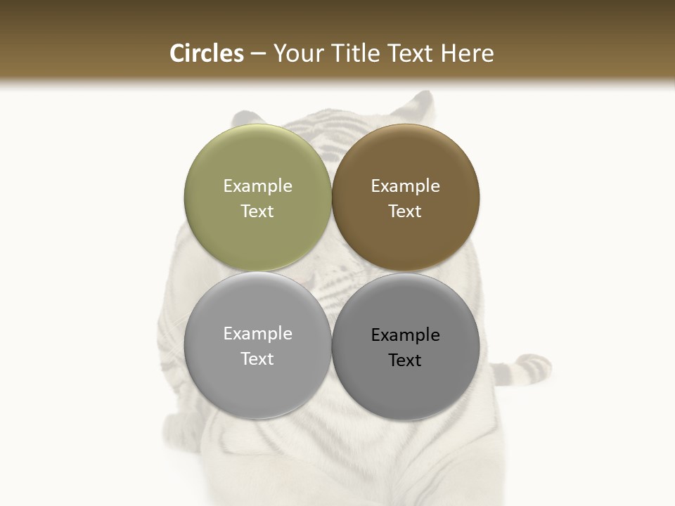 Dangerous White Mammal PowerPoint Template