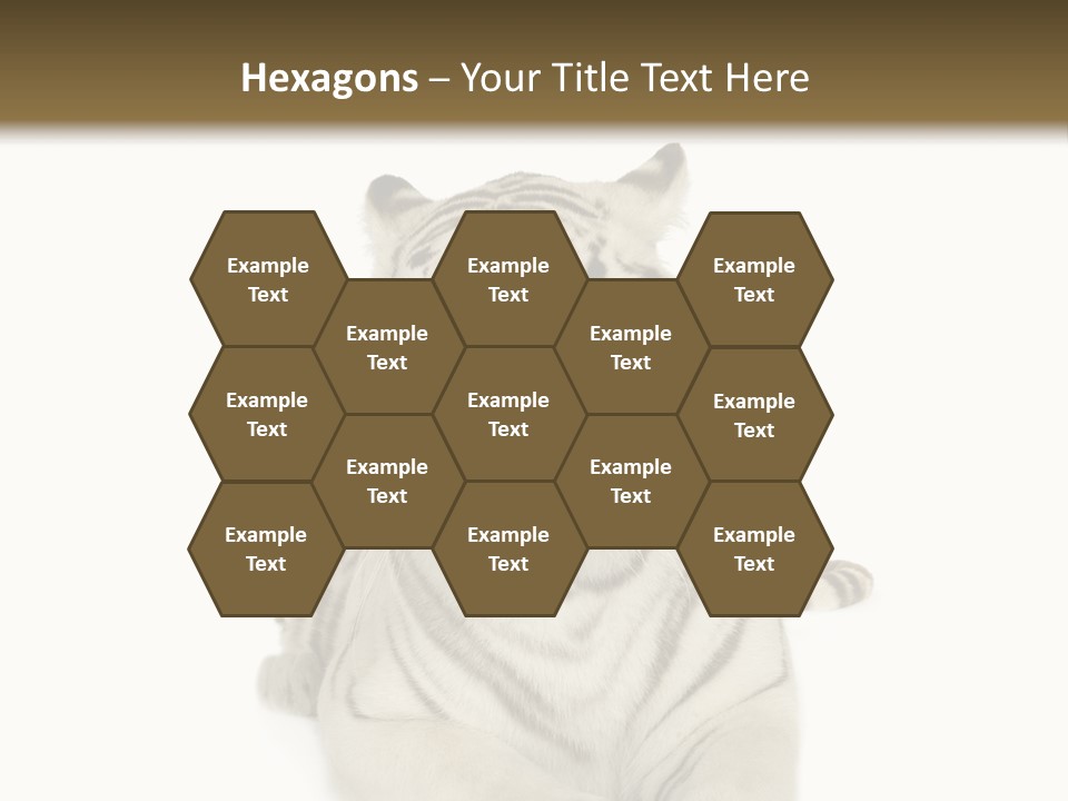 Dangerous White Mammal PowerPoint Template