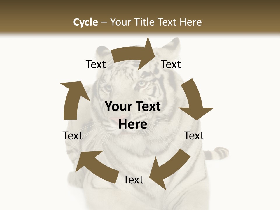 Dangerous White Mammal PowerPoint Template