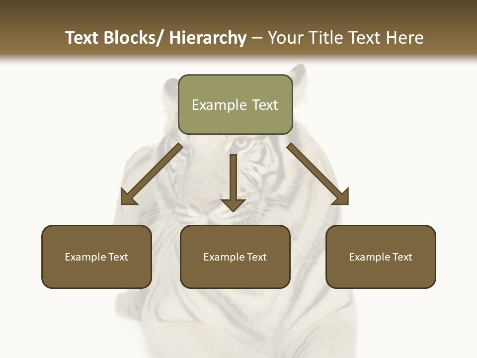 Dangerous White Mammal PowerPoint Template