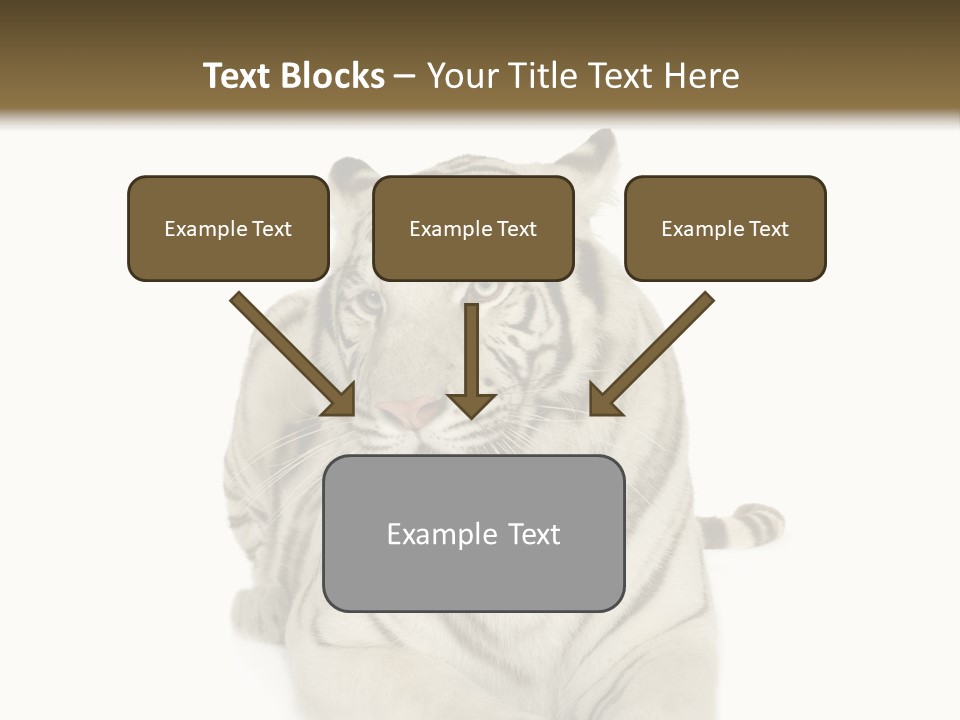Dangerous White Mammal PowerPoint Template
