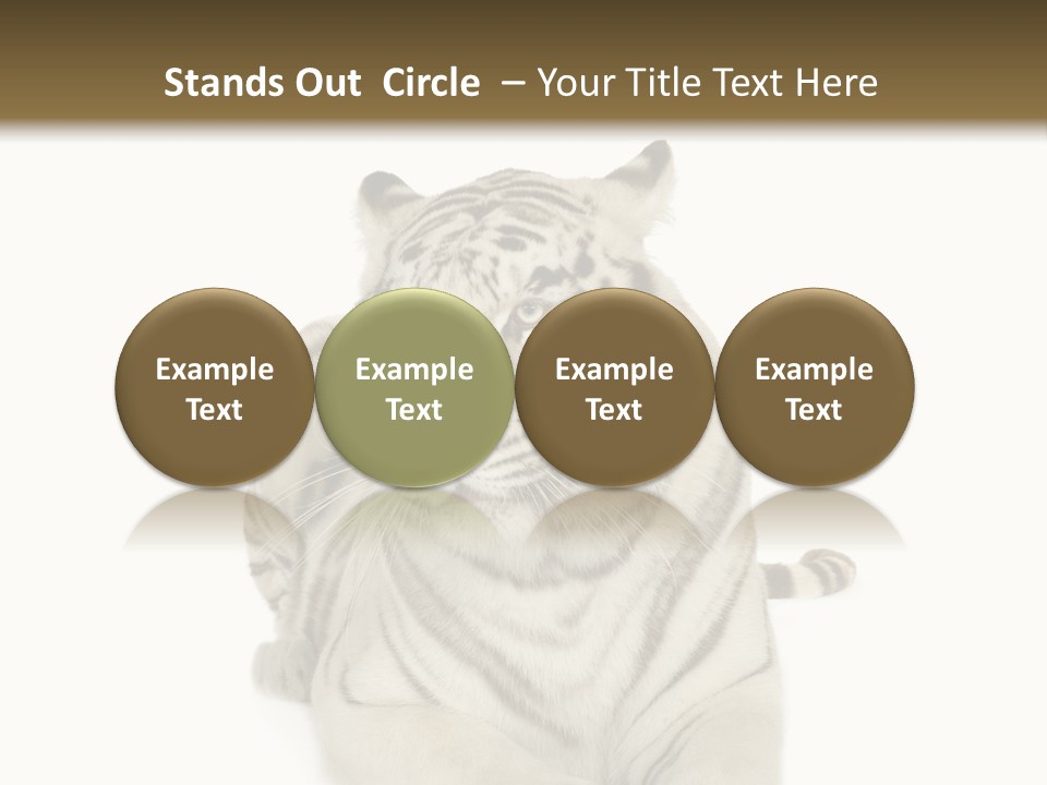 Dangerous White Mammal PowerPoint Template