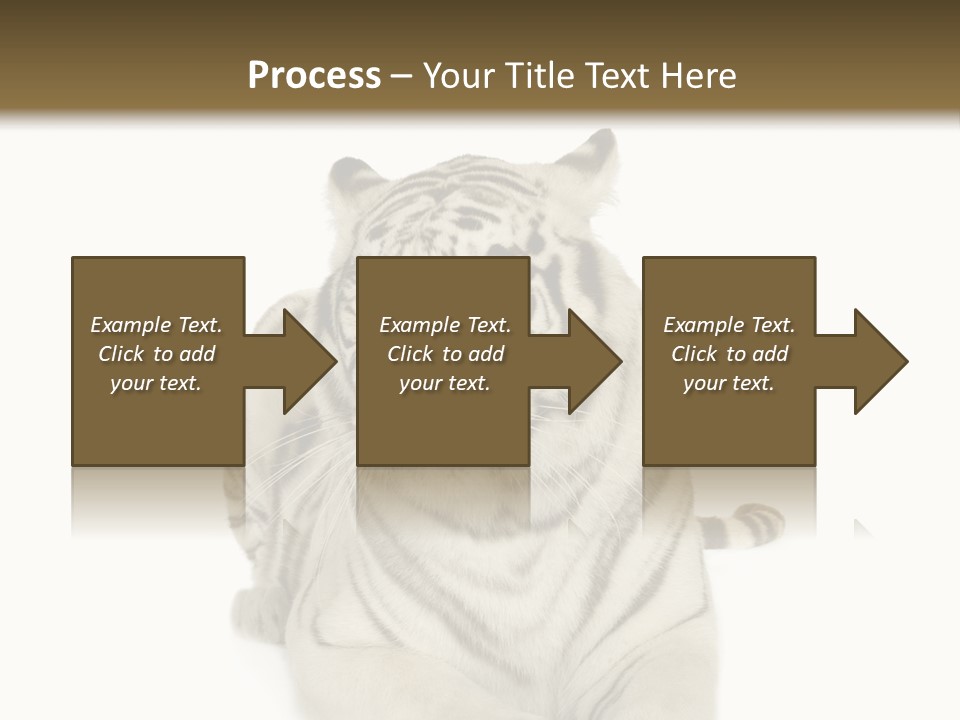 Dangerous White Mammal PowerPoint Template