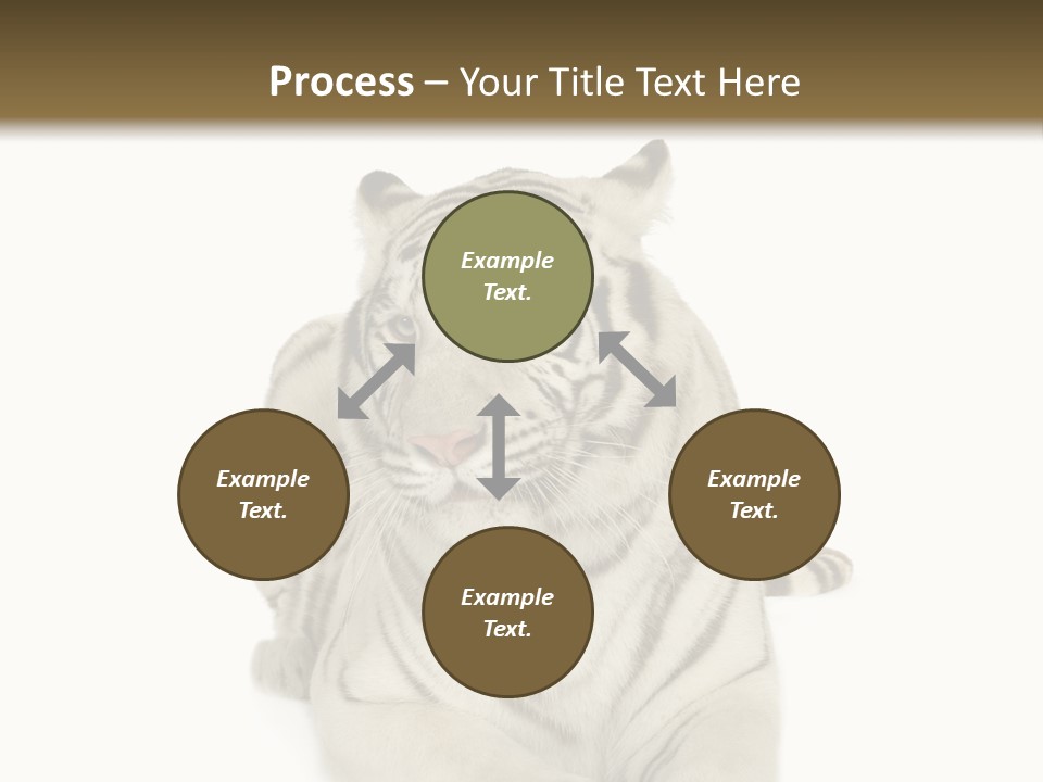 Dangerous White Mammal PowerPoint Template