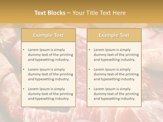 Antipasti Bacon Salami PowerPoint Template