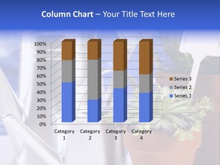 Chart Treasure Market PowerPoint Template