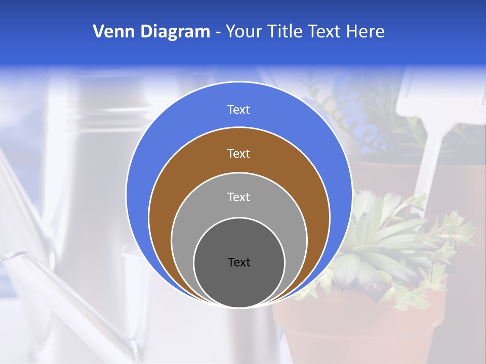 Chart Treasure Market PowerPoint Template