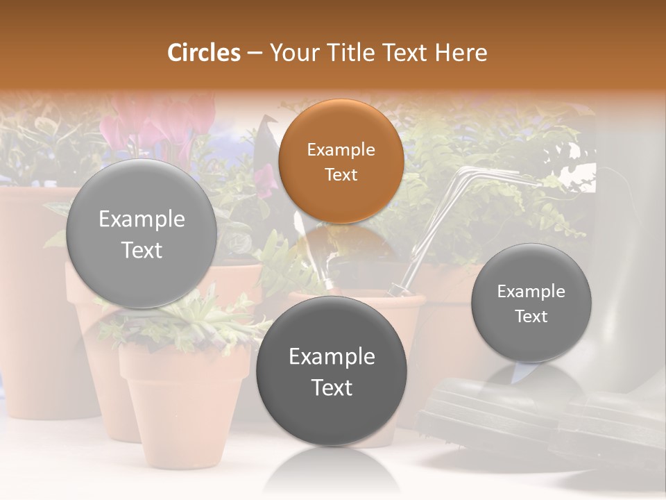 Gold Symbol Care PowerPoint Template