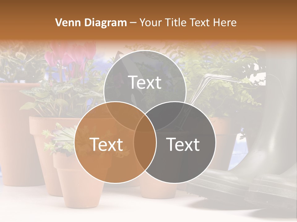 Gold Symbol Care PowerPoint Template