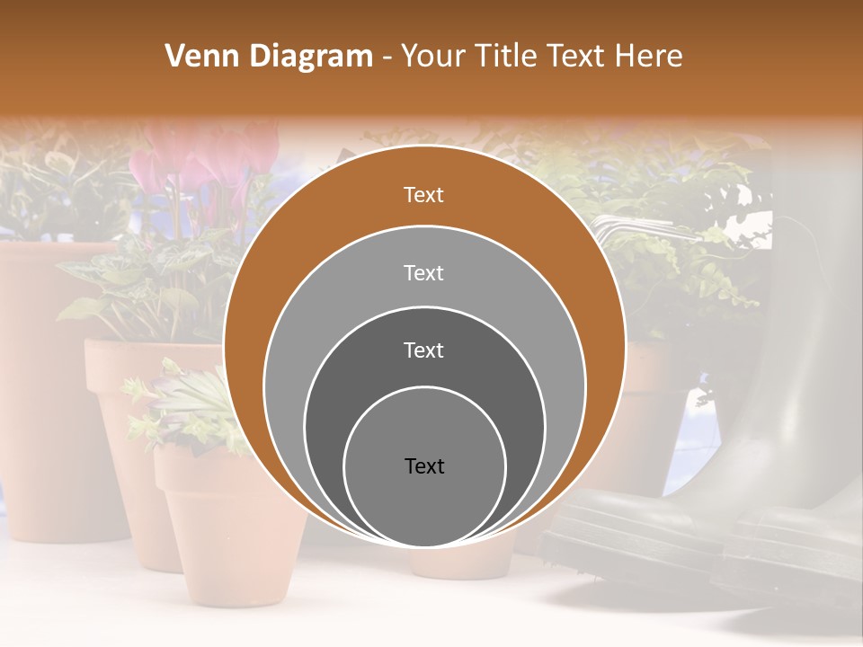 Gold Symbol Care PowerPoint Template