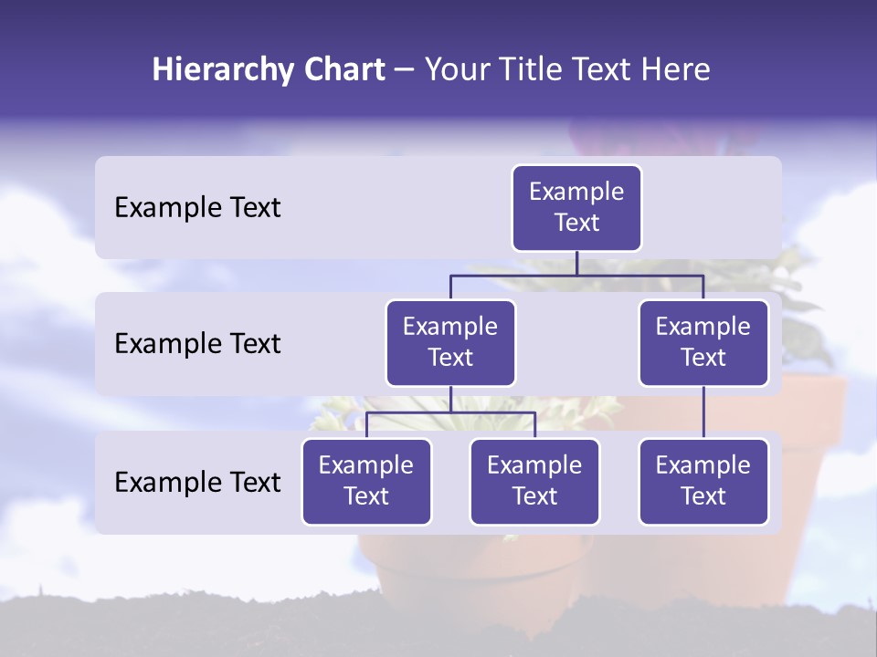 Luxury Currency Bar PowerPoint Template