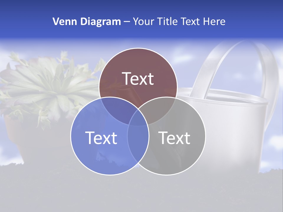 Precious White Care PowerPoint Template