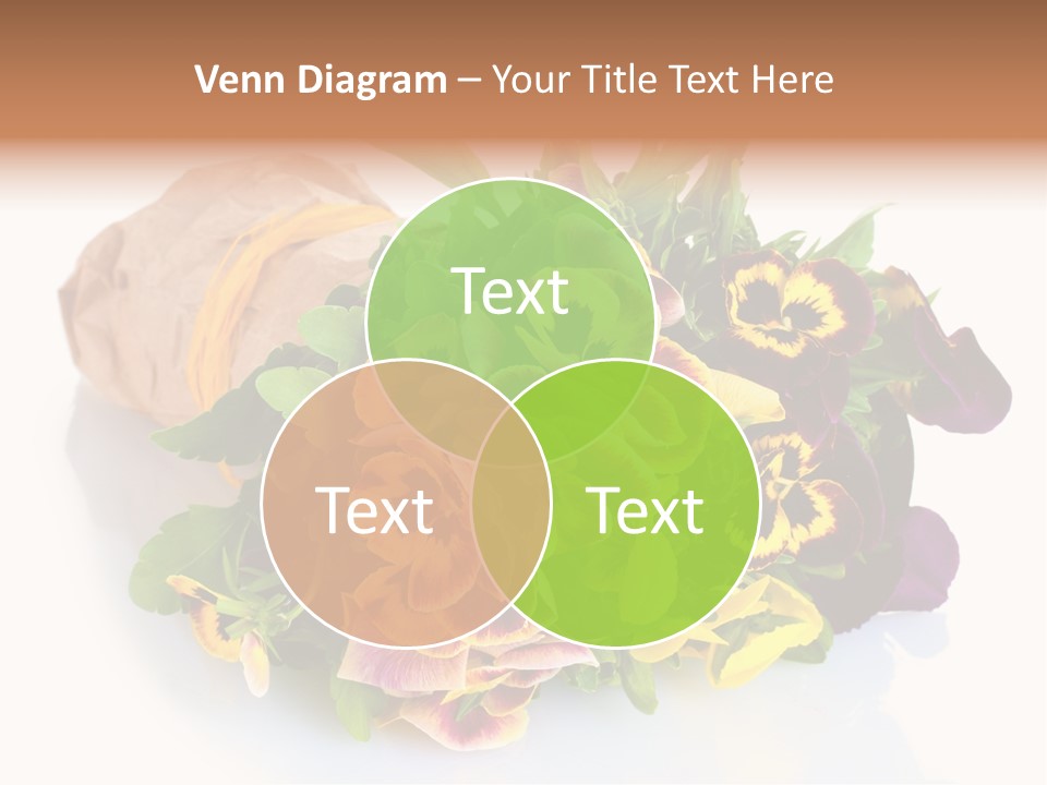 Paper Still Plant PowerPoint Template
