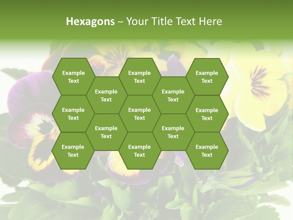 Garden Purple Close PowerPoint Template