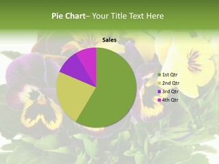 Garden Purple Close PowerPoint Template