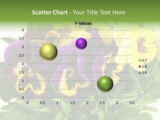 Garden Purple Close PowerPoint Template