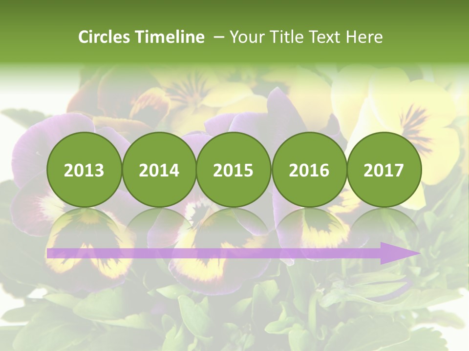 Garden Purple Close PowerPoint Template