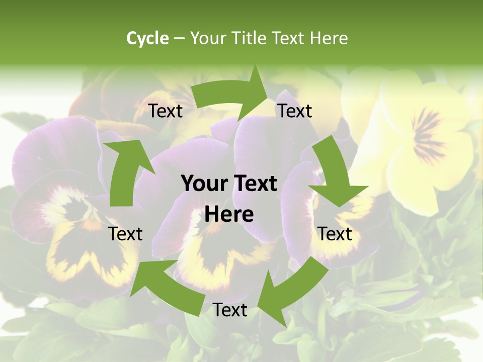 Garden Purple Close PowerPoint Template