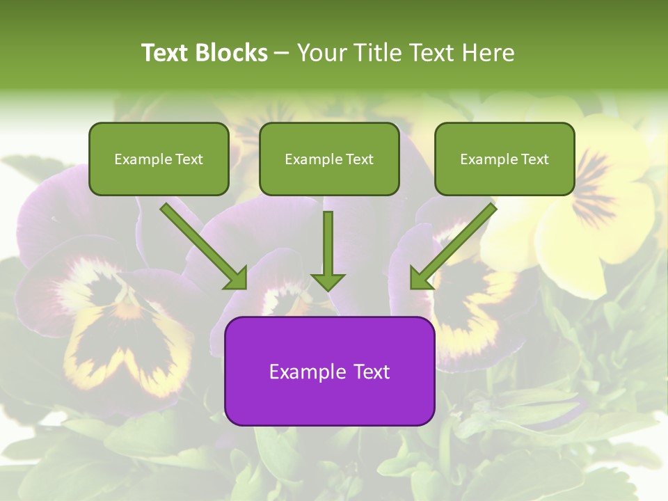 Garden Purple Close PowerPoint Template