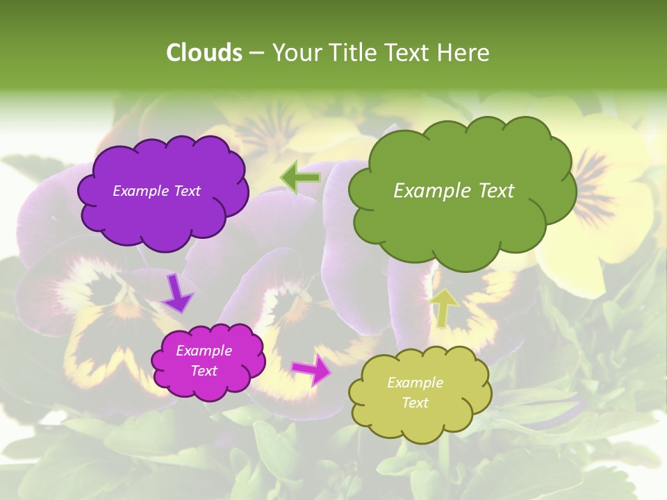 Garden Purple Close PowerPoint Template