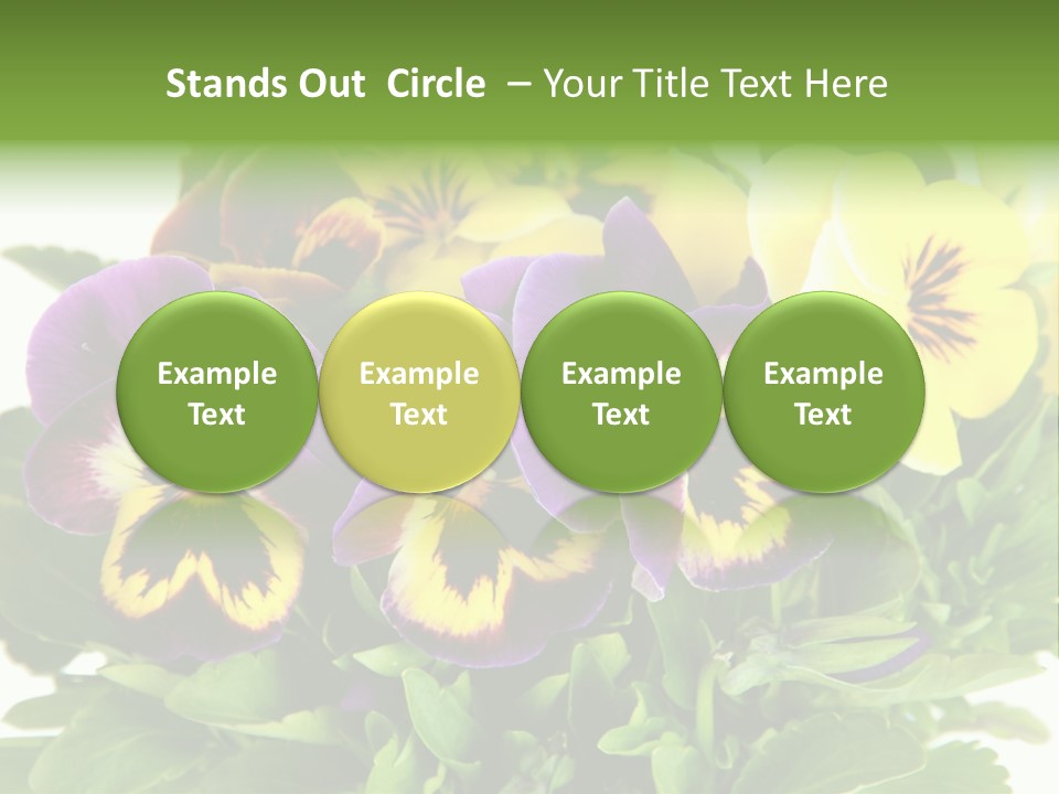 Garden Purple Close PowerPoint Template