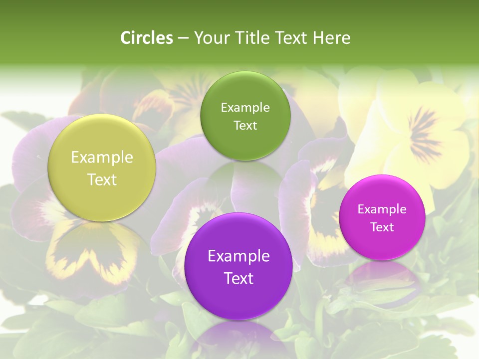 Garden Purple Close PowerPoint Template