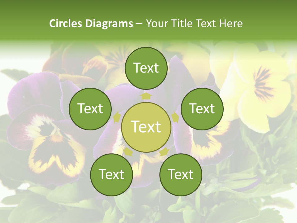 Garden Purple Close PowerPoint Template